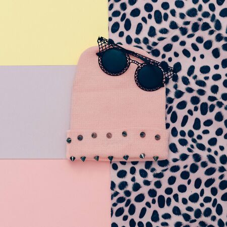 Animal Print. Stylish urban accessories. Glasses and cap. Style swagの写真素材