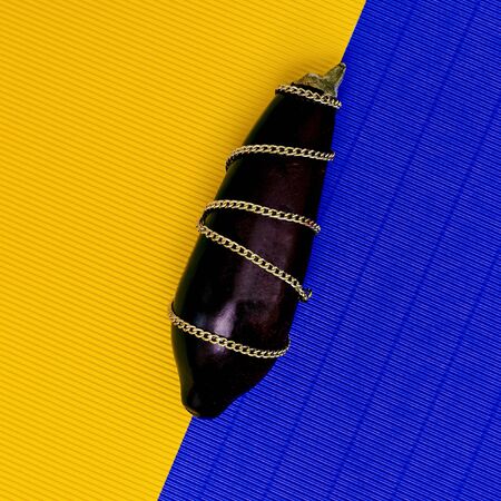 Fashion Eggplant on bright background. Minimalism designの写真素材