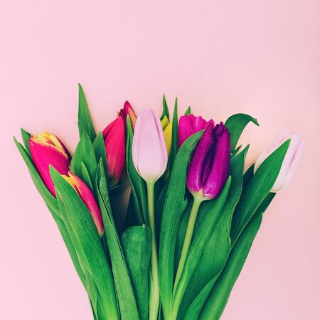 Tulips and Love. Minimal Fashion Style
Spring is comingの写真素材