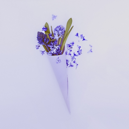 Blue flowers in paper envelope. Love to detail. Minimalism styleの写真素材
