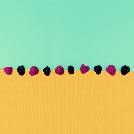 Berries fashion mix. Blackberry plus Raspberry Minimalism detailsの写真素材