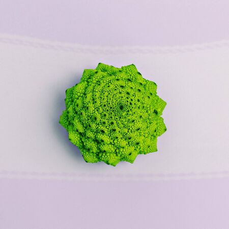 Broccoli Fashion details. Green. Minimalismの写真素材