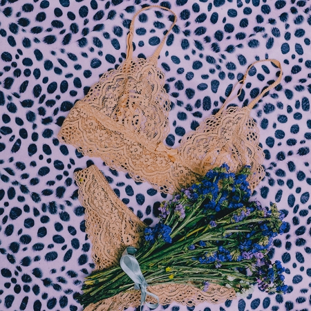 Stylish Lingerie. Fashion concept. Lacy Underwear for ladies. Underwear on leopard print background
