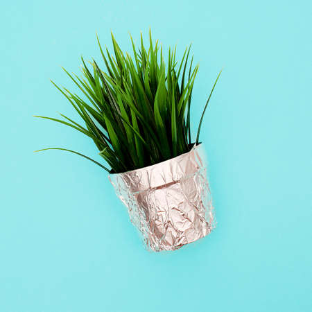 Flower in a pot. Plastic style minimal artの写真素材