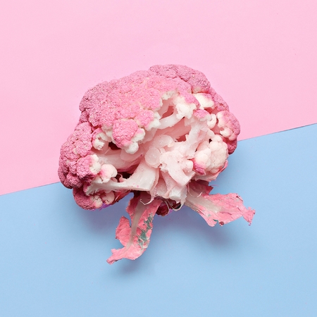 Vegan blog. Cabbage. Art gallery Minimal design creative Surrealの写真素材