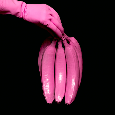Pink Bananas holding hand. Surreal minimal artの写真素材