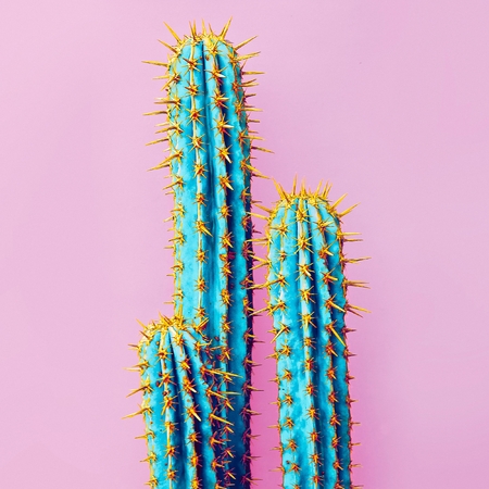 Set Neon Cactus. Minimal creative stillifeの写真素材