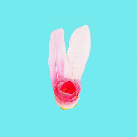 Feathers and rose. Gentle care. Minimal artの写真素材