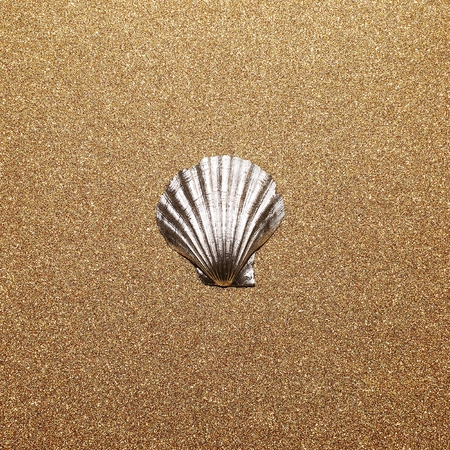 Shell on a gold background. Minimal art