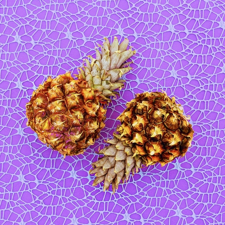 Two Mini pineapple fashion Geometry Minimal art design Candy Colorsの写真素材