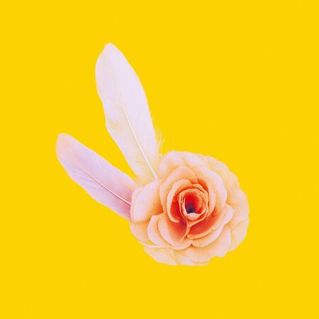 Feathers and Flower Delicate Minimal Artの写真素材