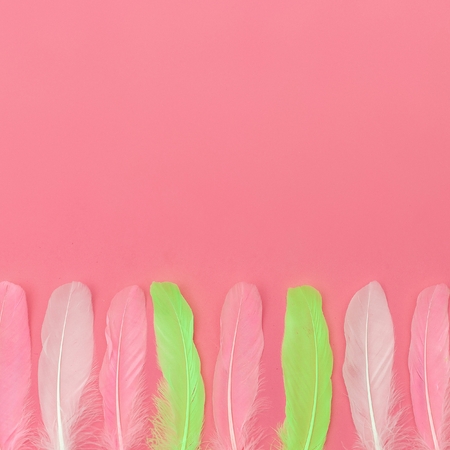 Minimal feathers art galleryの写真素材