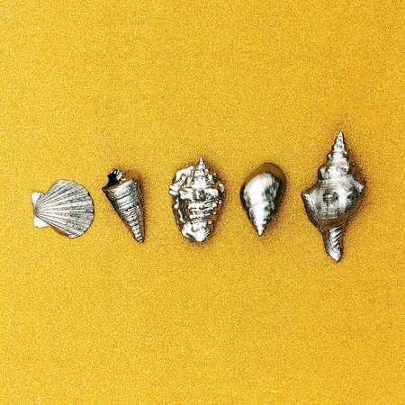 Summer tropical set.  Silver Shells. Minimal. Sea vibes