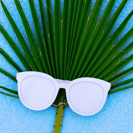 Fashion sunglasses and palm background Minimal fashion artの写真素材