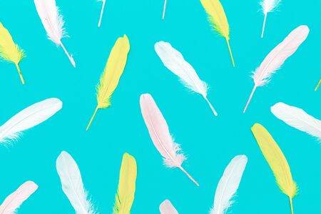 Feathers on a blue background Minimal art designの写真素材