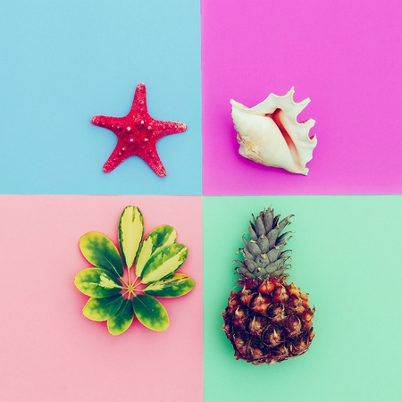 Beach set. Pineapple shells tropical plants. Minimal artの写真素材