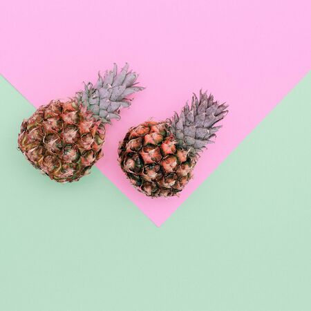 Two Mini Pineapple Minimal Art Design Candycolorsの写真素材