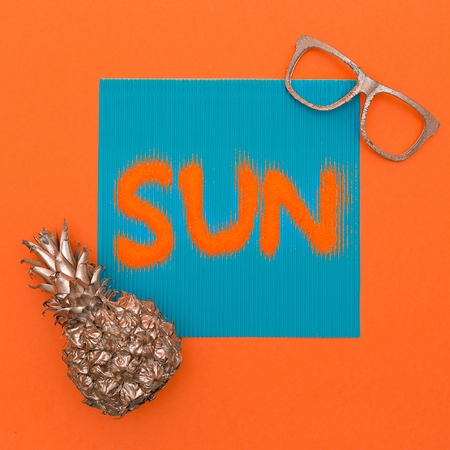 Pineapple and sun. Minimal art fashion style
