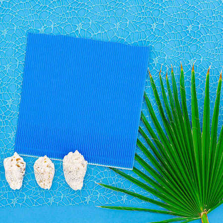 Palm leaf and seashells. Minimal Tropic Styleの写真素材