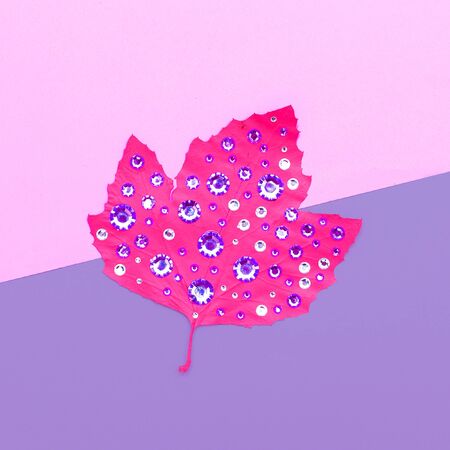 Art gallery. Autumn colored leaf in rhinestones Candy colorsの写真素材