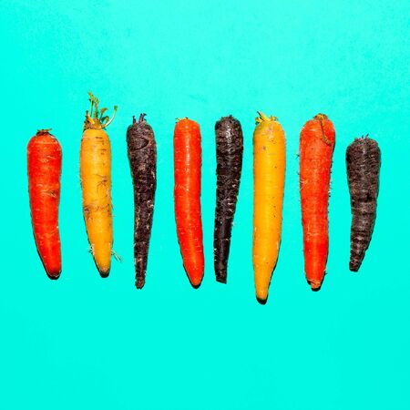 Set carrots. Minimal art designの写真素材