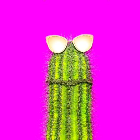 Cactus hipster funny Minimal Artの写真素材