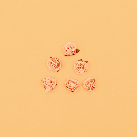 Roses on a pastel background. Candy colors Minimal artの写真素材