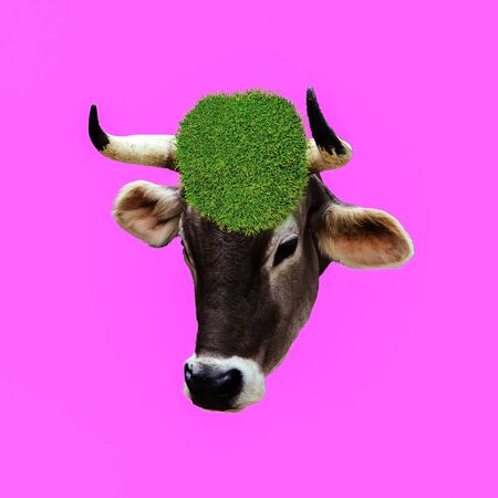Fashion collage minimal. Photo manipulation. Cow Vegan. Funny art.の写真素材