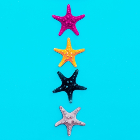 Set of sea stars. Beach style. Minimal artの写真素材
