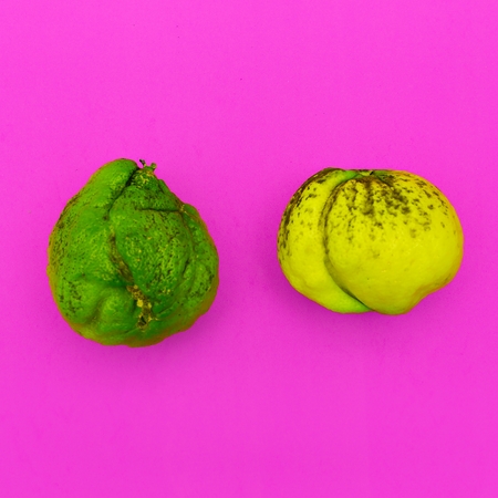 Couple Ugly lime and lemon. Minimal artの写真素材
