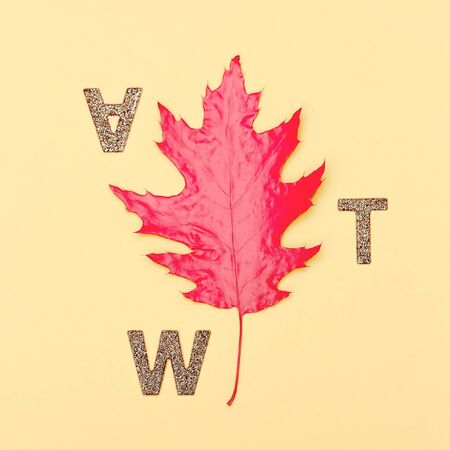 Art gallery Minimal Fall leaf and lettersの写真素材