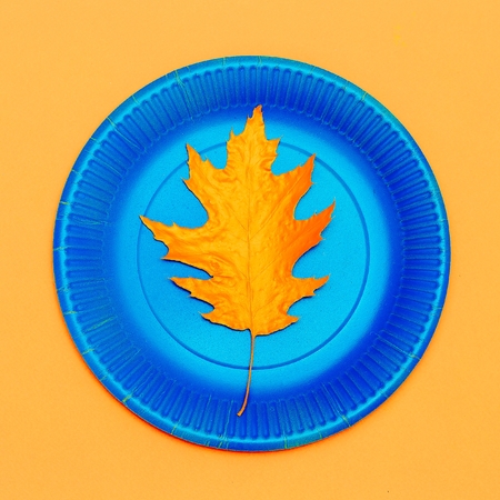 Art gallery. Autumn painted leaf on a plate Minimalの写真素材