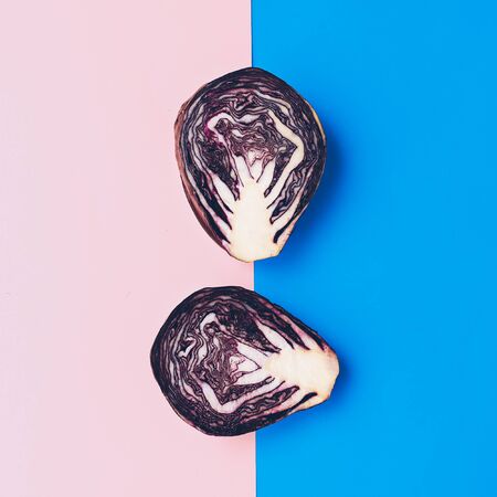 Raw cabbageVegan minimal art designの写真素材