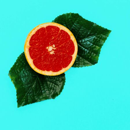 Grapefruit Citrus Minimal art. Designの写真素材