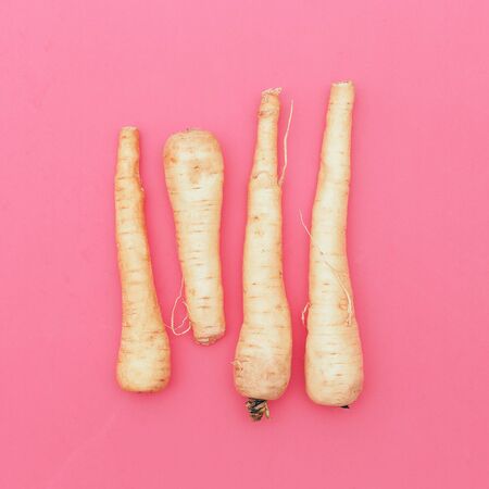 Fresh parsnip happy vegan style minimalの写真素材