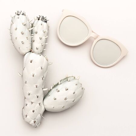 White Cactus and white glasses. Art. Minimal designの写真素材
