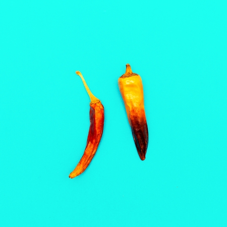 Hot Chile Dry pepper. Minimal art styleの写真素材