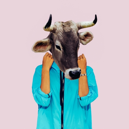 Hipster Cow Minimal collage art. Surreal designの写真素材
