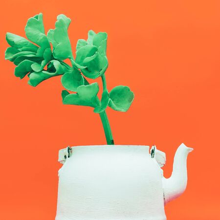Tropical plant in a teapot. Minimal style designの写真素材