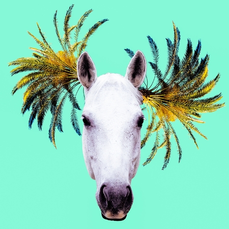 Fashion collage minimal. Photo manipulation. Horse and Palm Hipster art.の写真素材