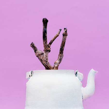 Dry branch in the kettle. Minimal style designの写真素材