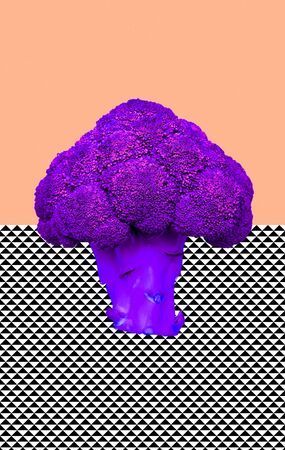 Creative wallpaper. Purple broccoli and geometry collage artの写真素材