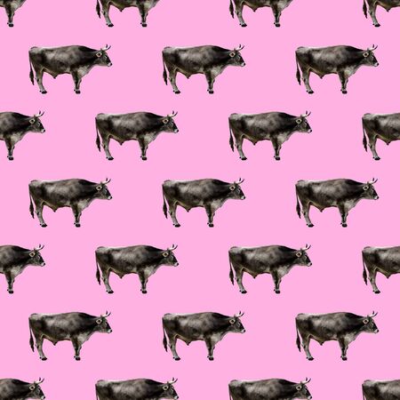 Seamless pattern. Bull. Use for t-shirt, greeting cards, wrapping paper, posters, fabric print.の写真素材