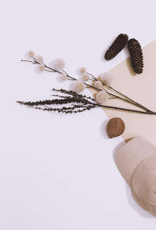 Woman Hands hold stylish red clutch on design background. Accessories fashion concept, Copy space. Fall winter season. Beige brown warm mood. Stylish strong shadows designの写真素材