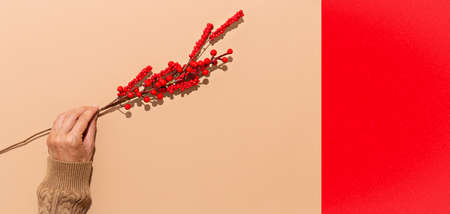 Woman Hands hold stylish red clutch on design background. Accessories fashion concept, Copy space. Fall winter season. Beige brown warm mood. Stylish strong shadows designの写真素材