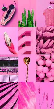 Set of trendy aesthetic photo collages. Minimalistic images of one top color. pink mood boardの写真素材