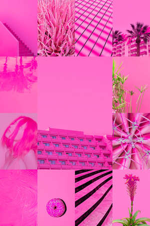 Set of trendy aesthetic photo collages. Minimalistic images of one top color. pink mood boardの写真素材