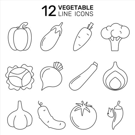 A set of vegetable vector icons - tomato, cucumber, pepper, onion, garlic, broccoli, cabbage, zucchini, eggplant, hot pepper, carrot, beetroot. Collection of outline icons.のイラスト素材