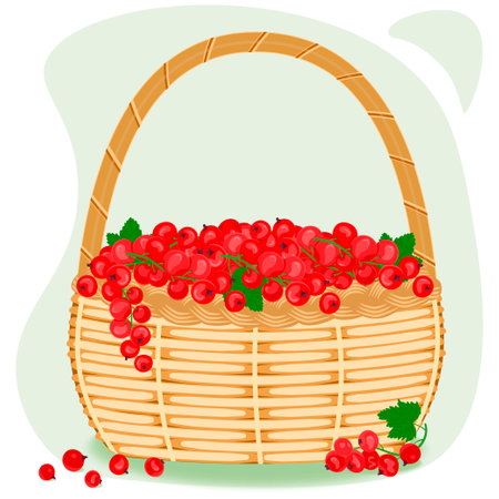 Red currant berries with green leaves in a wicker basket. The concept of healthy eating. Ripe berries. fruit picking. Vector illustration in a flat style.のイラスト素材