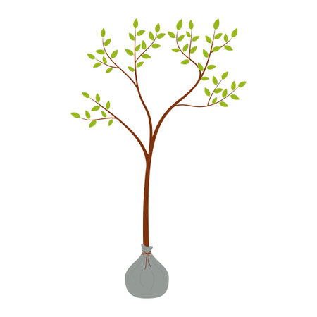 A seedling. Planting and growing trees. Vector illustration on a white background.のイラスト素材